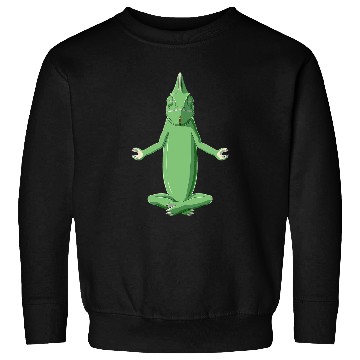 Discover Funny Yoga Chameleon Sweatshirts