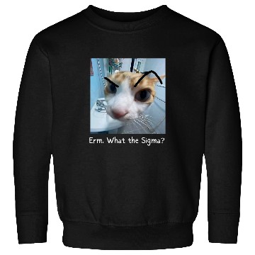 Discover Erm What the Sigma Funny Cat Meme 1 Sweatshirts