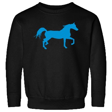Discover Arabian Horse Sweatshirts