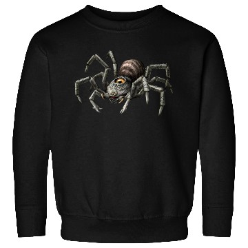 Discover spider Sweatshirts