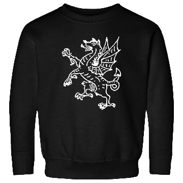 Discover Dragon Sweatshirts