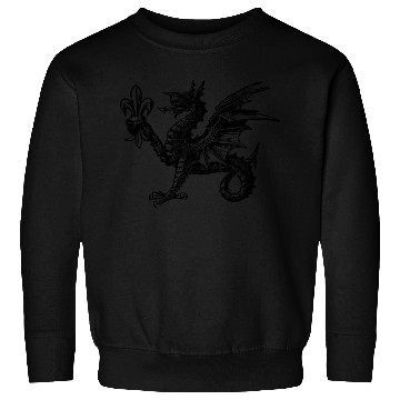 Discover Dragon Sweatshirts
