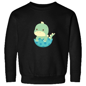 Discover Baby Dino Hatch Newborn Sweatshirts