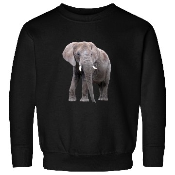 Discover Elephant Sweatshirts