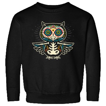 Discover Owl Sweatshirts