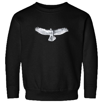 Discover Red-Tailed Hawk Sweatshirts