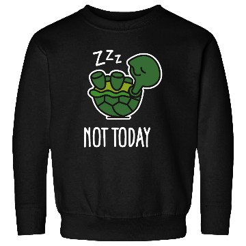 Discover Not today - cute sleeping lazy turtle baby Sweatshirts