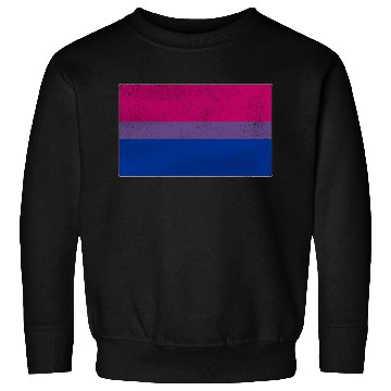 Discover Distressed Bisexual Pride Flag Sweatshirts
