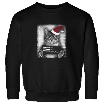 Discover Cat Christmas Thief Sweatshirts