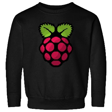 Discover Raspberry Pi Pixel Logo Sweatshirts