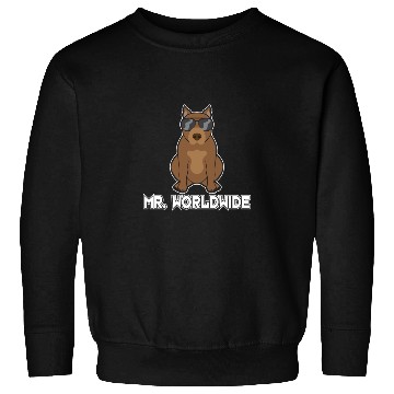 Discover Mr. Worldwide Funny Pitbull Dog Lover Gift Sweatshirts