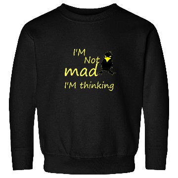 Discover I'm Not Mad I'm Thinking Cute Angry Bird Sweatshirts