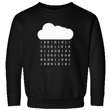 Discover Data Science Sweatshirts