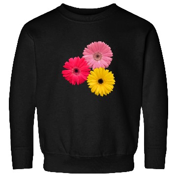 Discover gerbera flowers, daisies, gerberas, daisy, blooms Sweatshirts