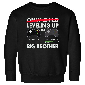 Discover Leveling Up to Big Brother Sweatshirts 2020 Video Game