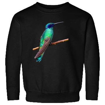 Discover Hummingbird Sweatshirts