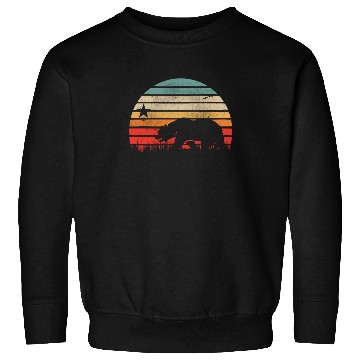 Discover California Bear Retro Vintage Sunset Sweatshirts