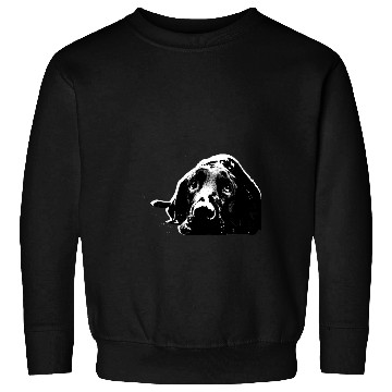 Discover Black Labrador Retriever Sweatshirts