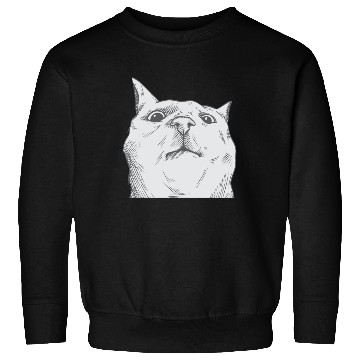 Discover Cat Dad Cat Lover Catmom Cat Mom Cats Sweatshirts