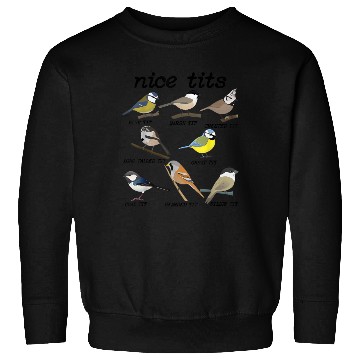 Discover Nice Tits Funny Bird Watching Funny Tit Birds Sweatshirts