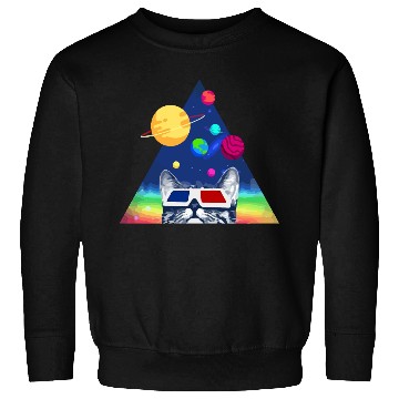 Discover 3D Space Cat Sweatshirts
