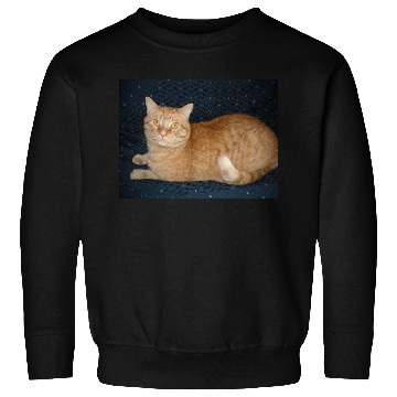 Discover Relaxed Orange Tabby Cat Illustration Sweatshirts