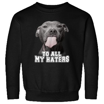 Discover Funny Pitbull To All My Haters Sweatshirts