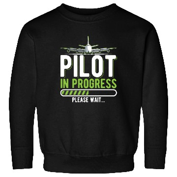 Discover Pilot Loading Airplane Funny Pilots Sweatshirts