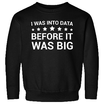 Discover I Was Into Data Before It Was Big - Data Nerd Sweatshirts