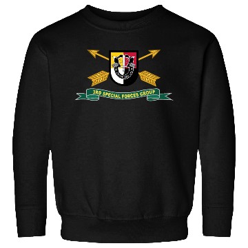 Discover Army 3rd Special Forces Group Flash w Br Ribbon Sweatshirts