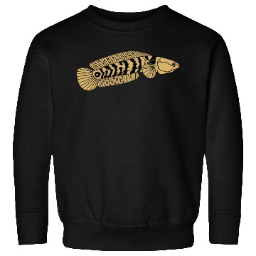 Discover black and gold channa snakehead fish illustrations Sweatshirts