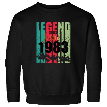 Discover 1983 vintage born in June gift Sweatshirts