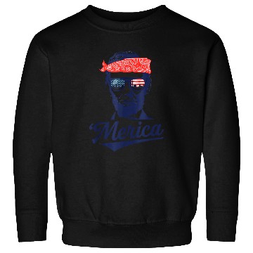 Discover Funny Abraham Lincoln Sweatshirts