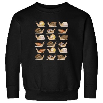 Discover Snail Collection Researcher Biology Snails Sweatshirts