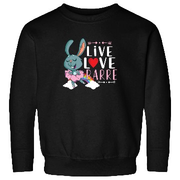 Discover Ballet Ballerina Dance Dancer Dancing Ballet Gift Sweatshirts