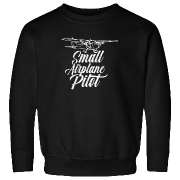 Discover Small Airplane Pilot Aircraft Private Sweatshirts