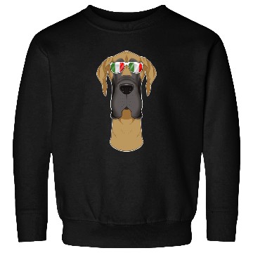 Discover Great Dane Italy Sunglasses I Italian Flag Sweatshirts