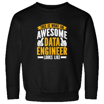 Discover Data Engineer Funny Data Analyst Specialist Sweatshirts