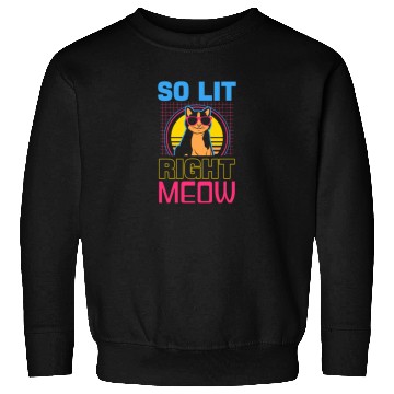 Discover EDM Rave Techno 80s Lit Right Meow Sweatshirts