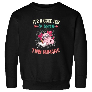Discover Good Day To Teach Tiny Humans Elementary Teacher Sweatshirts
