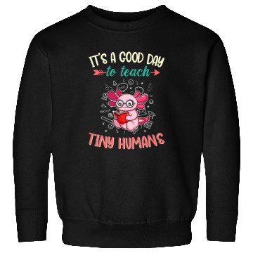 Discover Good Day To Teach Tiny Humans Elementary Teacher Sweatshirts