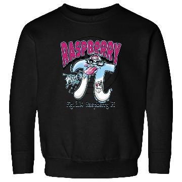 Discover Pi Day Raspberry Pi Sweatshirts