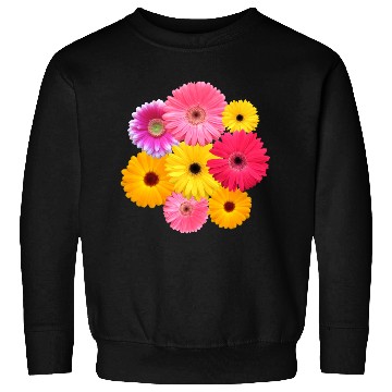 Discover gerbera flower, daisies, gerberas, daisy blooms Sweatshirts