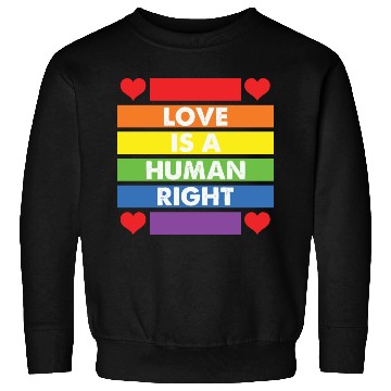 Discover LBGT Flag Gay Pride Human Love Human Right Sweatshirts
