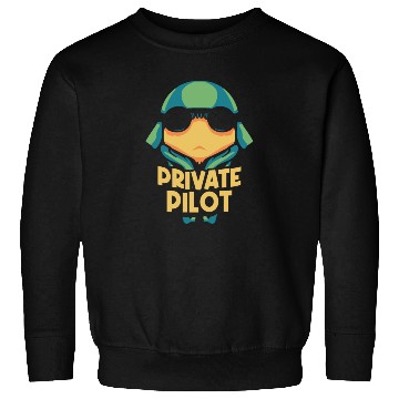 Discover Private Pilot Aircraft Small Airplane Sweatshirts