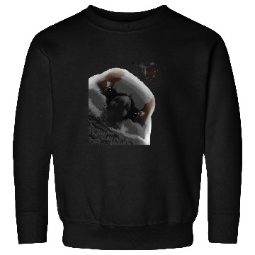 Discover Funny Curious Bird Sparrow Sweatshirts