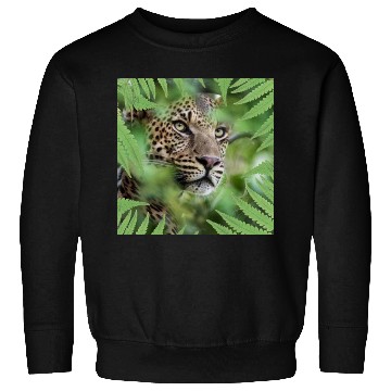 Discover forest tiger Sweatshirts