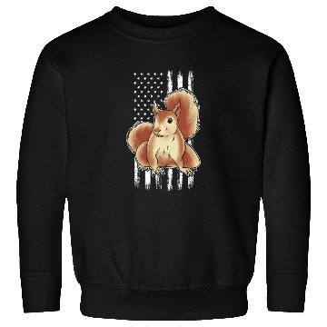 Discover Squirrel US Flag Squirrel American Flag Squirrel Sweatshirts