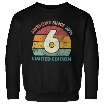 Discover Kids 6 Years Old Baseball Themed 6th Birthday Sweatshirts