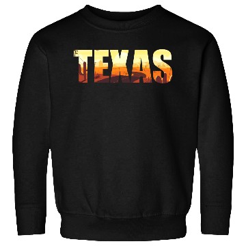 Discover Texas city USA gift Houston America Sweatshirts